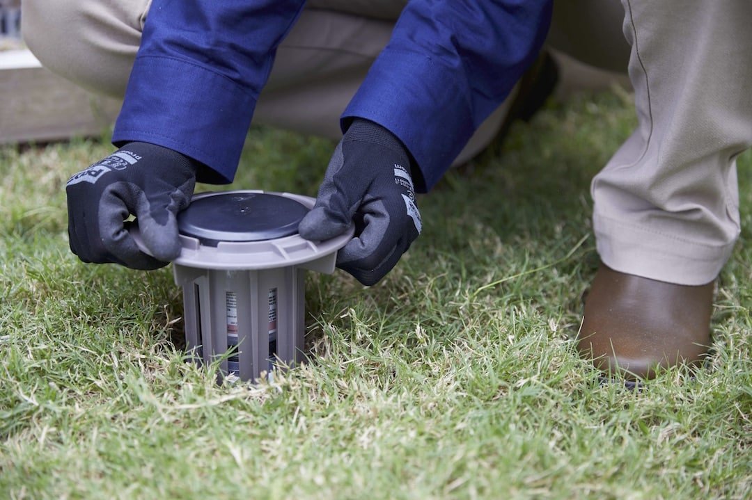Termite Barriers North Brisbane